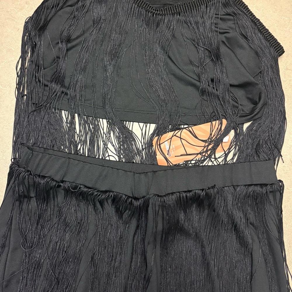Shein 2 piece swimsuit w/shingles